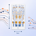 POINTWALK® Reflexology Socks